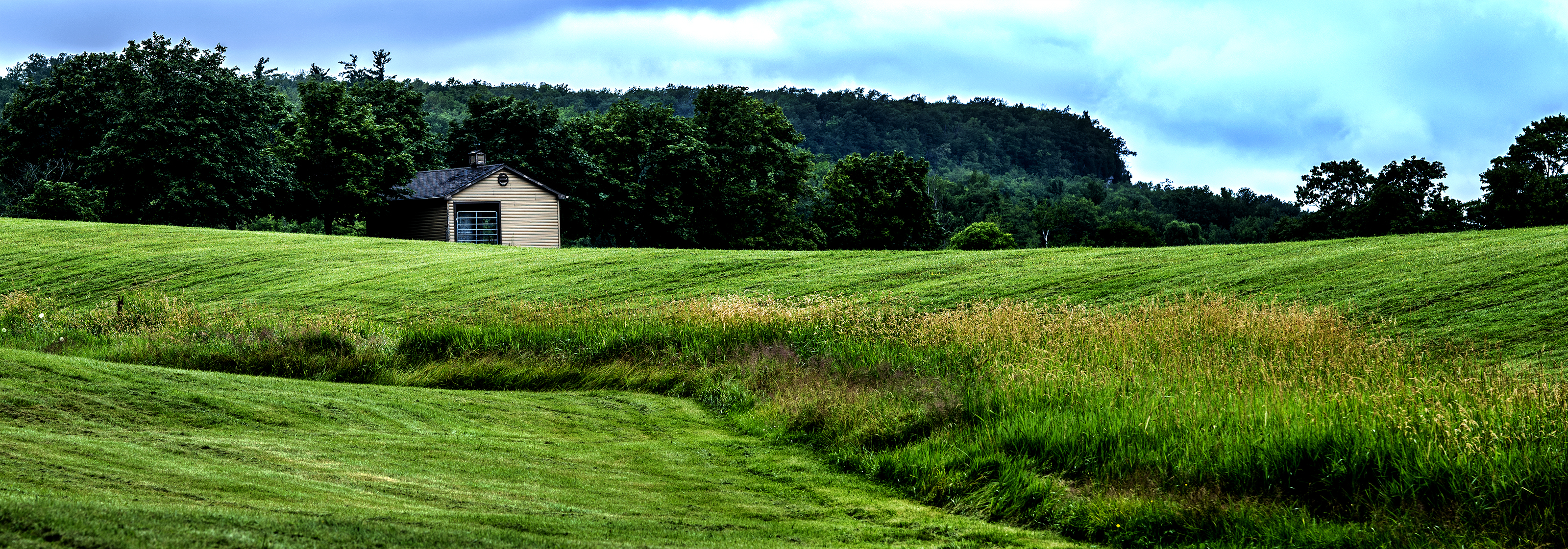 DSC03098E-for-site