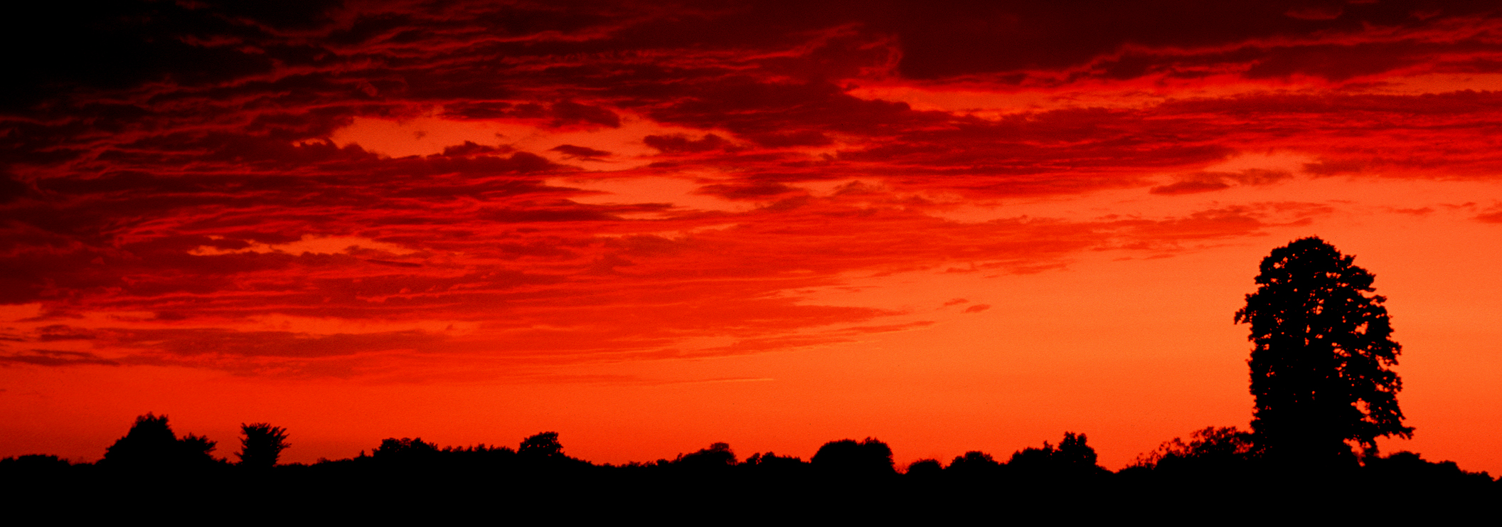 Lava